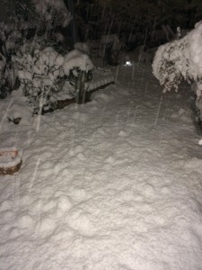 ユキ