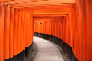 IMG_7236 鳥居連打