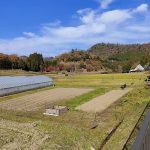 つながりの森 全景