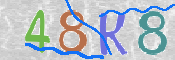 キャプチャ画像