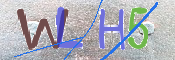 キャプチャ画像