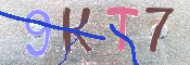 キャプチャ画像