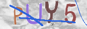キャプチャ画像