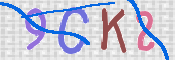 キャプチャ画像