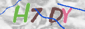 キャプチャ画像