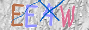 キャプチャ画像