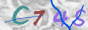 キャプチャ画像