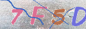キャプチャ画像