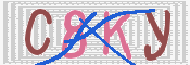 キャプチャ画像
