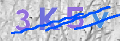 キャプチャ画像