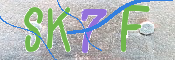 キャプチャ画像