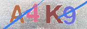 キャプチャ画像