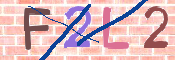 キャプチャ画像