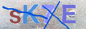 キャプチャ画像