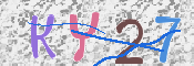 キャプチャ画像