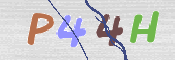 キャプチャ画像