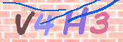キャプチャ画像