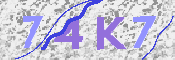 キャプチャ画像