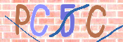 キャプチャ画像