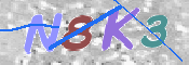 キャプチャ画像