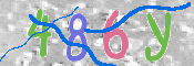 キャプチャ画像