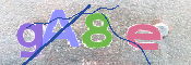 キャプチャ画像