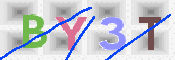 キャプチャ画像