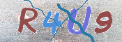 キャプチャ画像