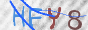 キャプチャ画像