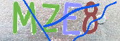 キャプチャ画像