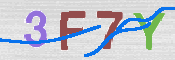キャプチャ画像