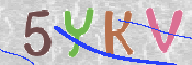 キャプチャ画像