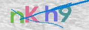 キャプチャ画像