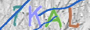 キャプチャ画像