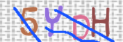 キャプチャ画像