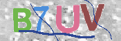 キャプチャ画像