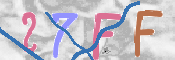 キャプチャ画像