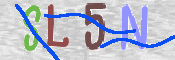 キャプチャ画像