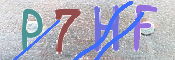キャプチャ画像