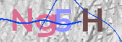 キャプチャ画像