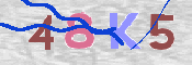 キャプチャ画像