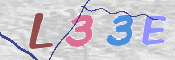 キャプチャ画像