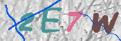 キャプチャ画像