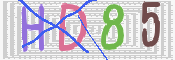 キャプチャ画像