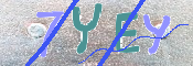 キャプチャ画像
