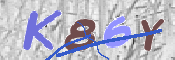 キャプチャ画像