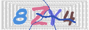 キャプチャ画像