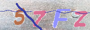 キャプチャ画像