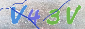 キャプチャ画像