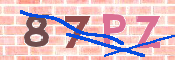 キャプチャ画像